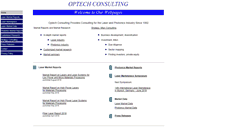 Desktop Screenshot of optech-consulting.com
